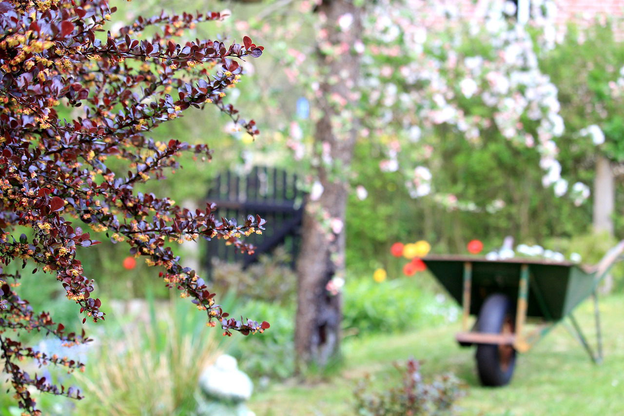 Gartenarbeit im Frühjahr