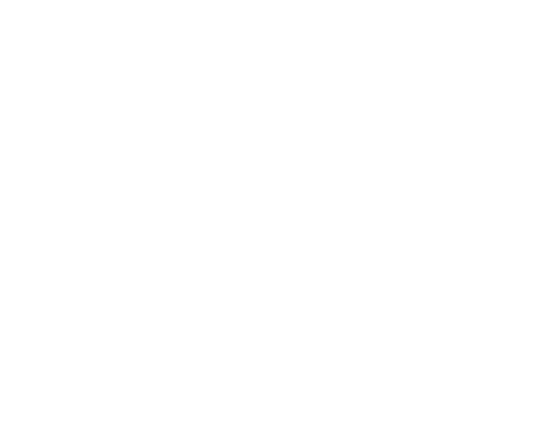 Langnese