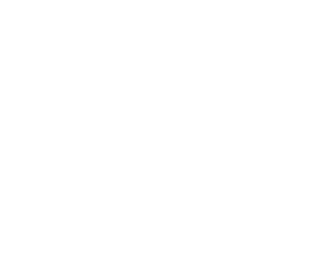 Langnese