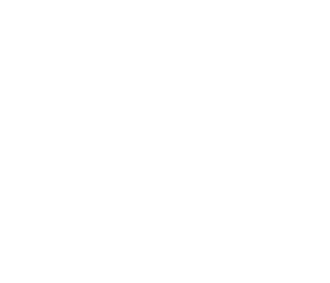 Elaris
