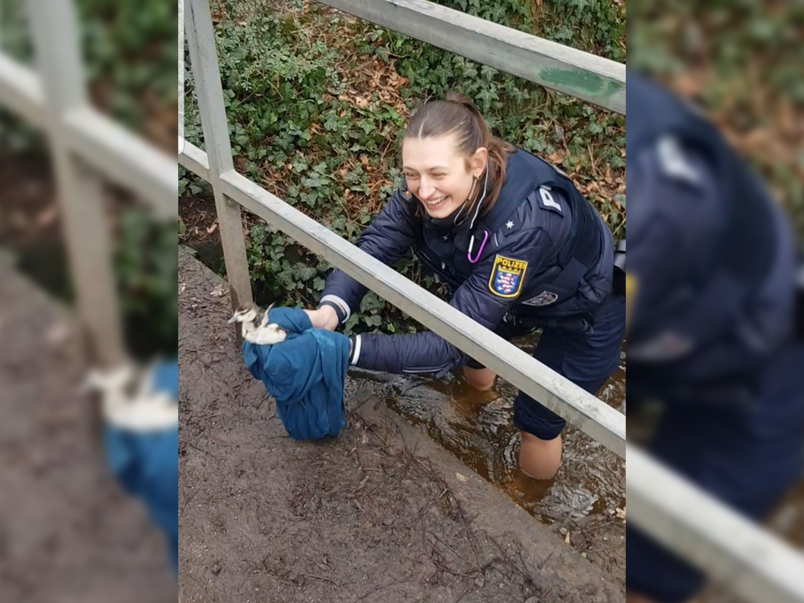 Polizistin rettet Küken