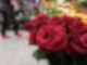 Rote Rosen stehen in einem Blumenladen.