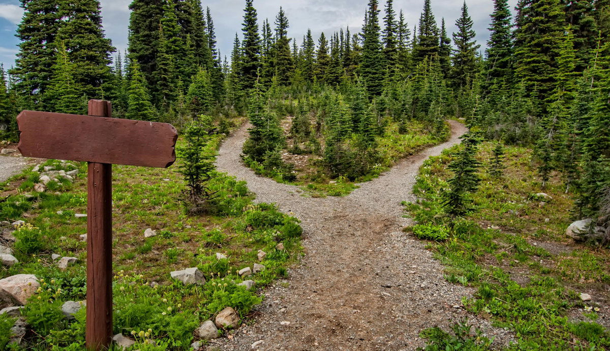 Kündigung oder im alten Job bleiben?