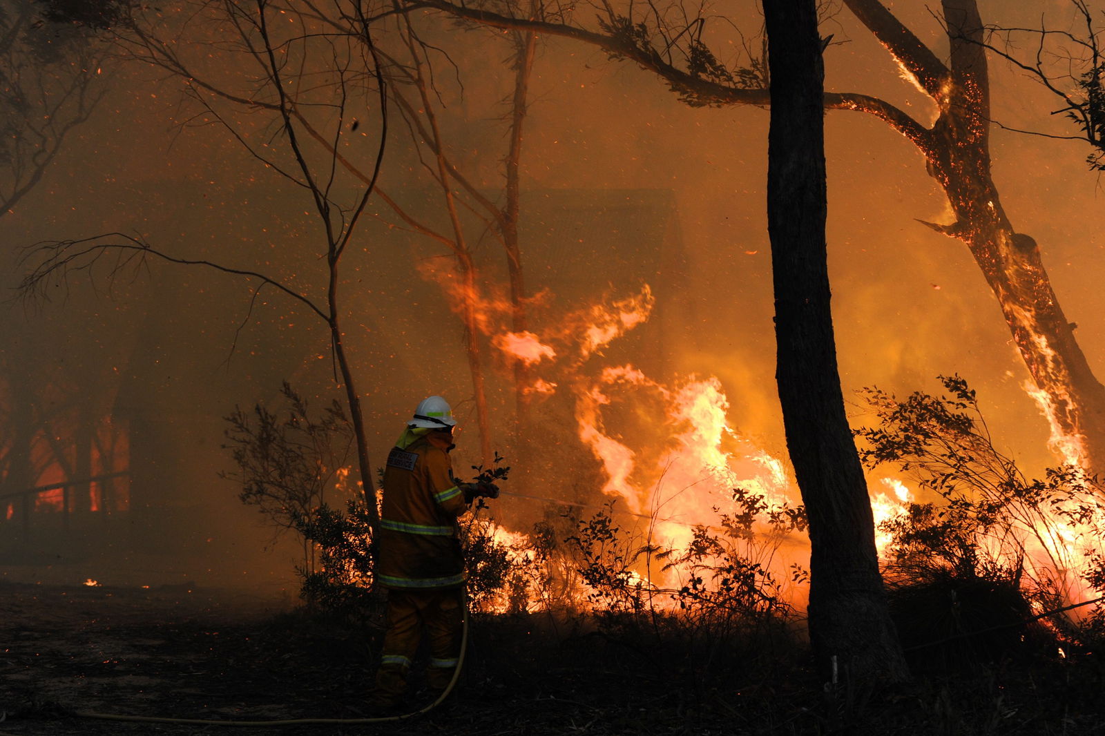 Buschfeuer in Australien