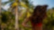 Frau in rotem Bikini vor Palmen auf Bali