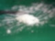In insgesamt elf Supermärkten wurde Kokain entdeckt (Archivbild)