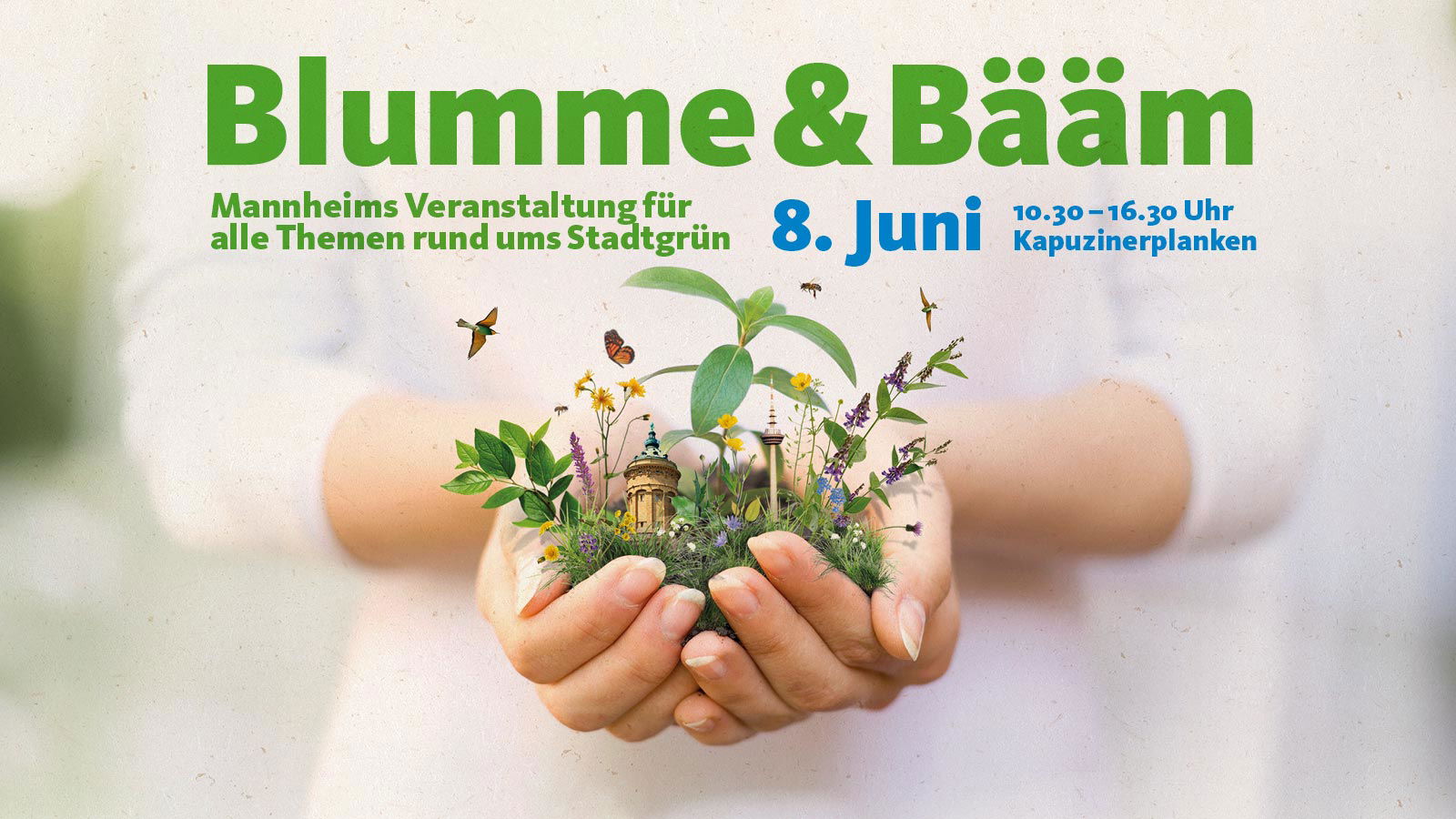 Blumme & Bääm