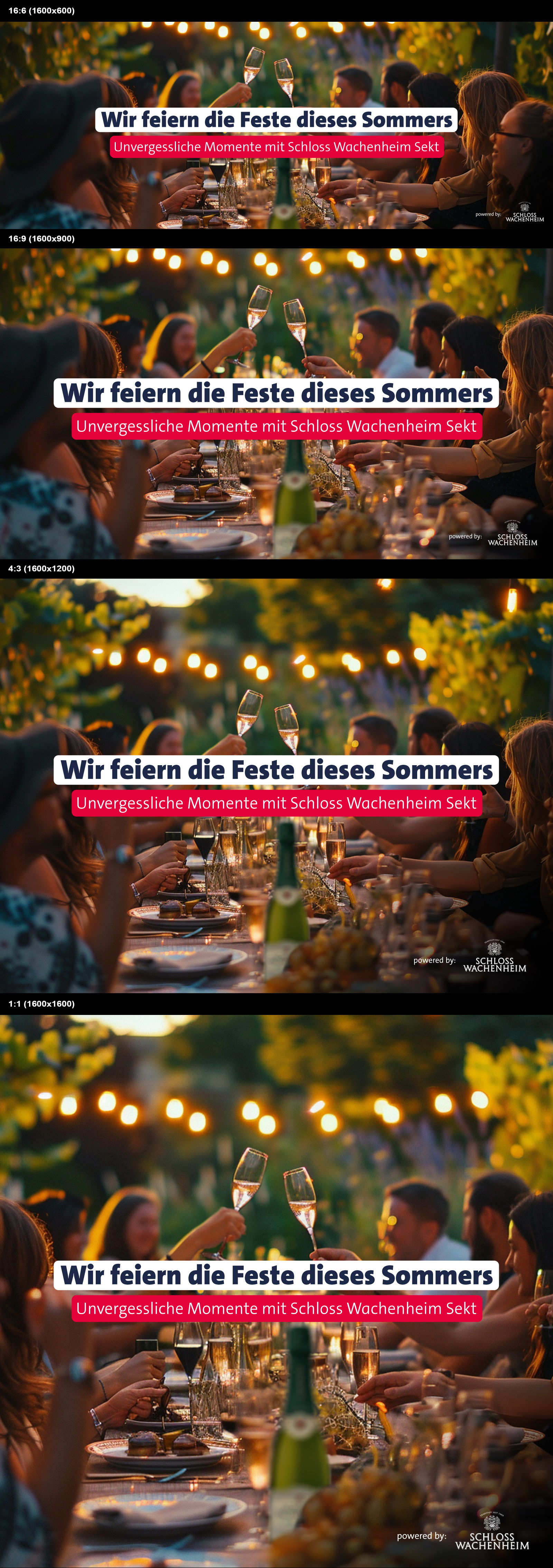 Header Feste dieses Sommers