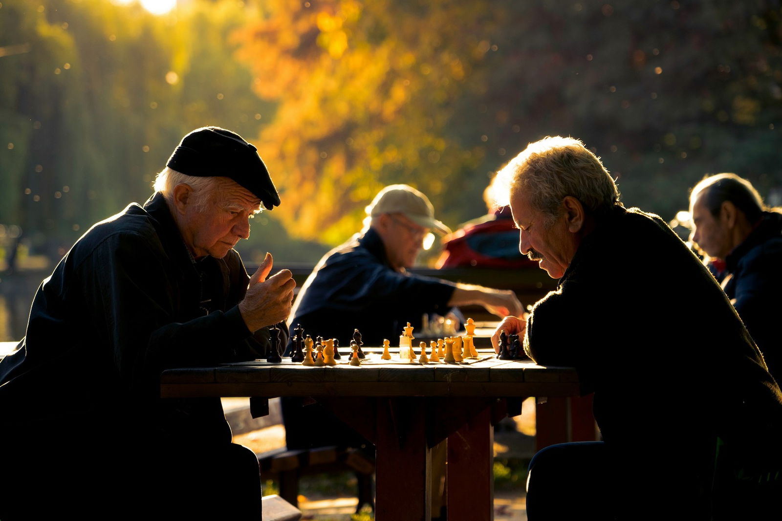 Alte Männer spielen Schach im Park
