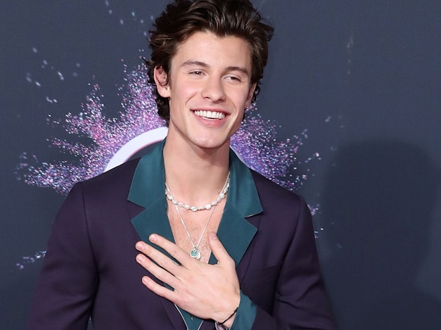 Shawn Mendes: Why Why Why & Isn'T That Enough Aus “Shawn