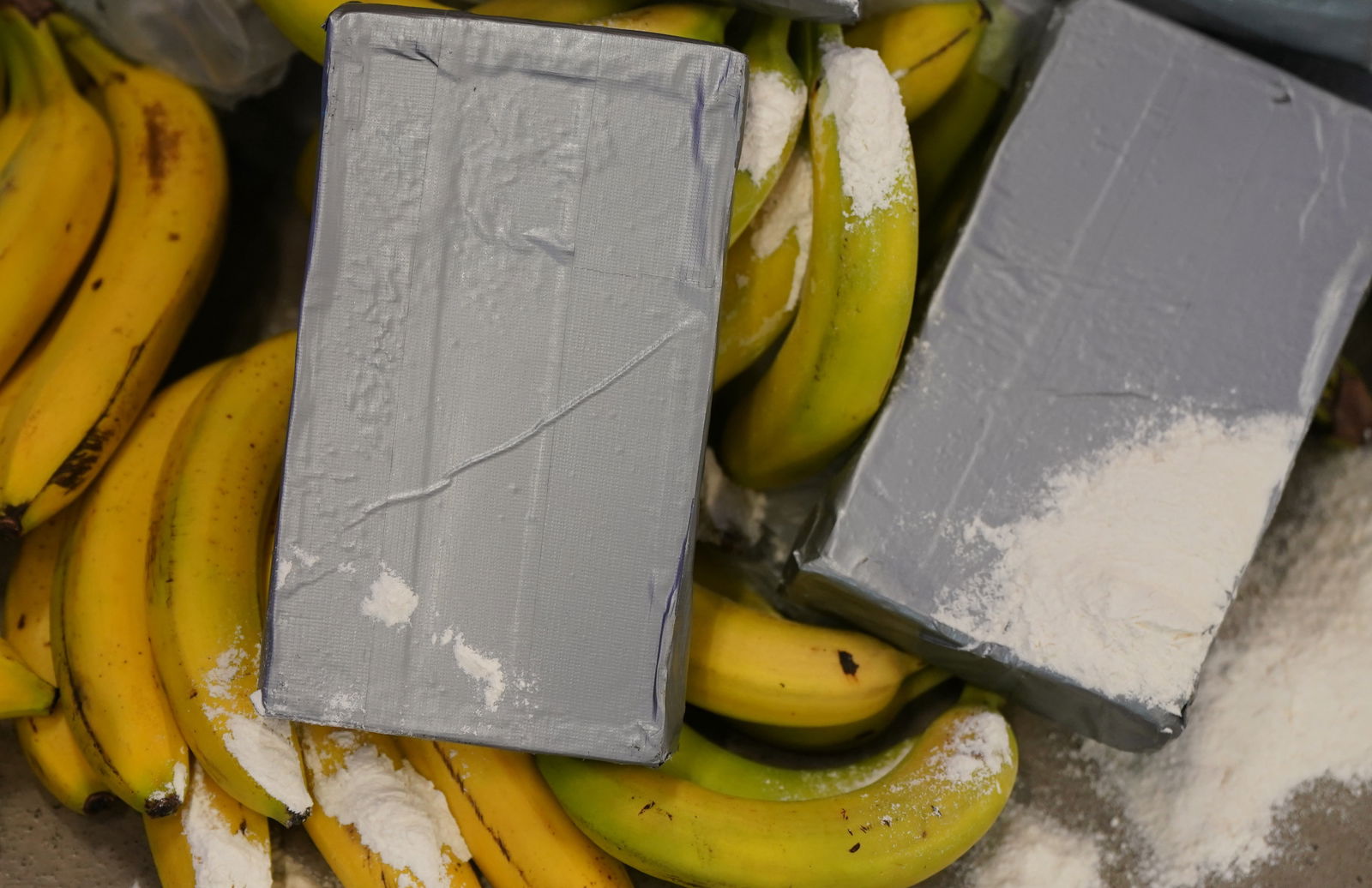 Kokain in Bananenkisten geschmuggelt 