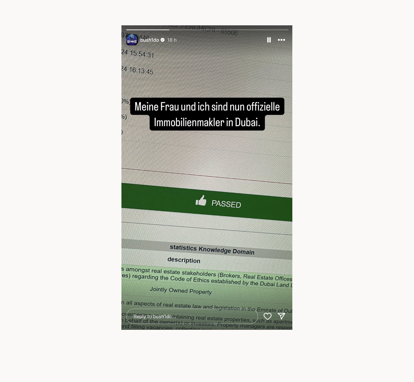 Instagram - Bushido Immobilienmakler