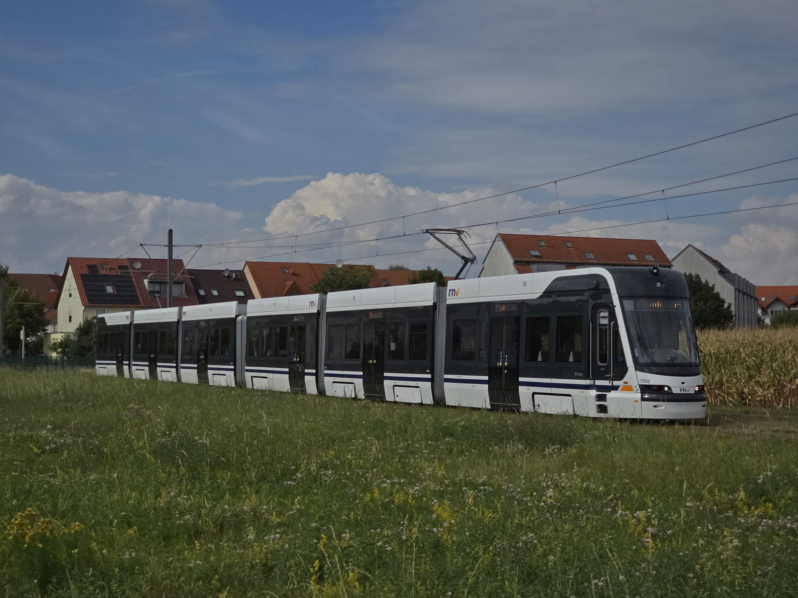 Tram