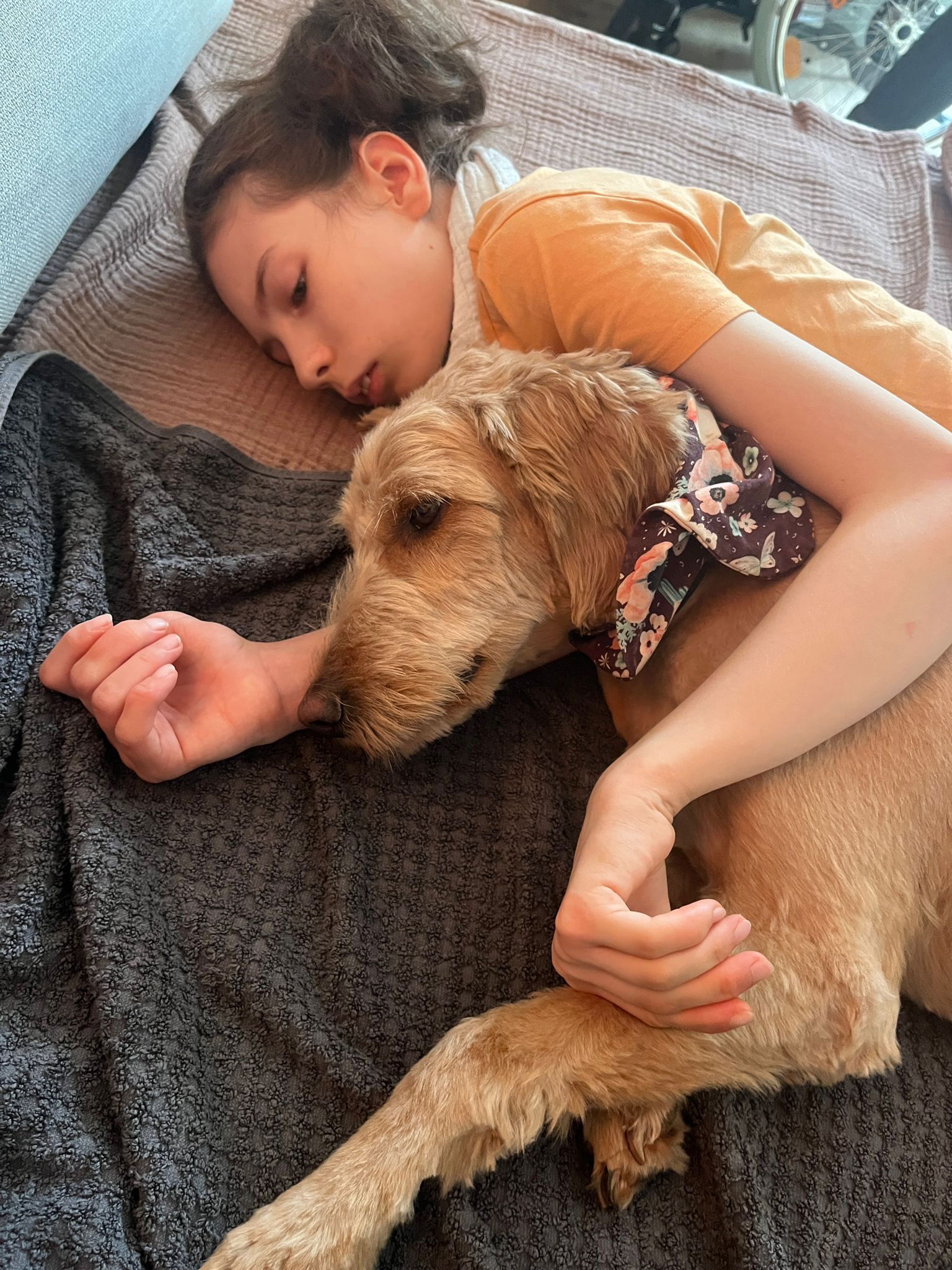 KuR Evi mit Therapiehund