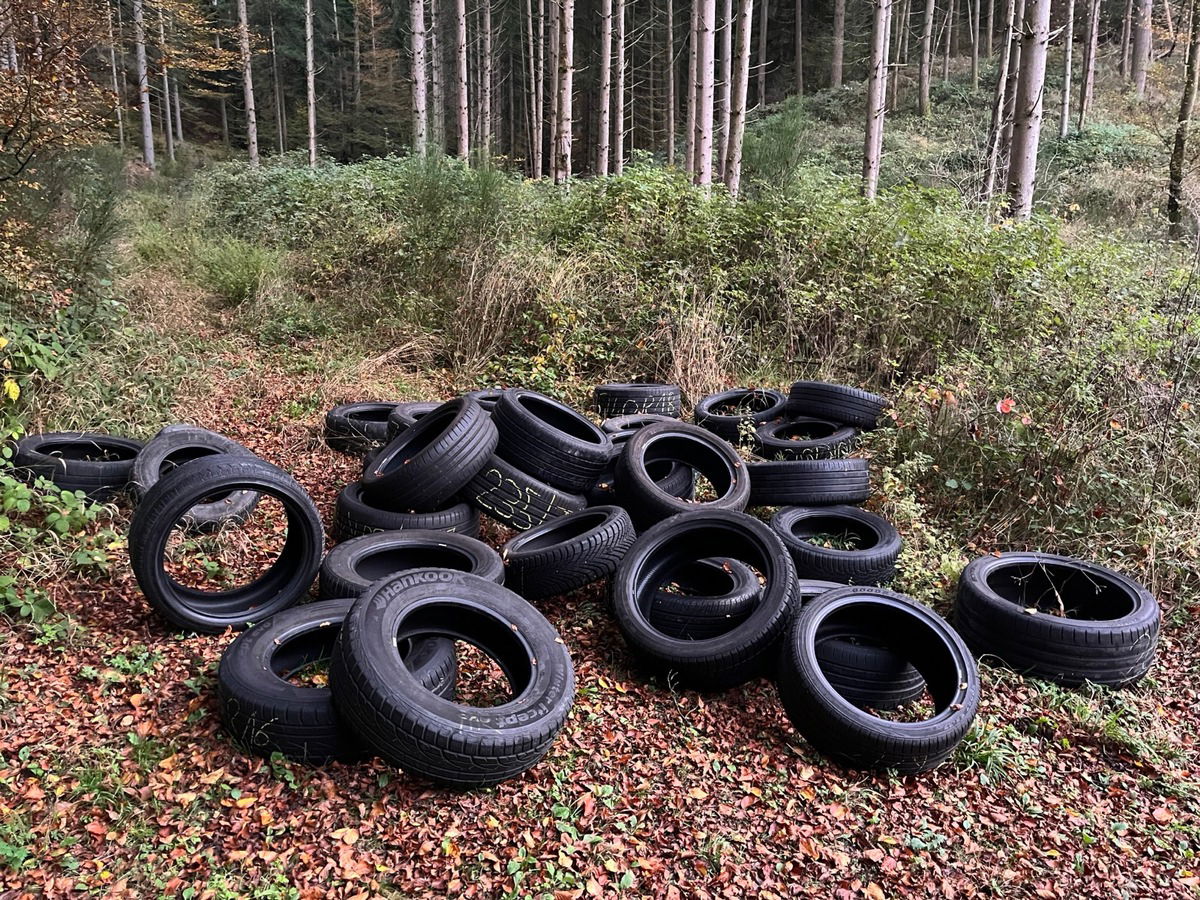 Reifen im Wald