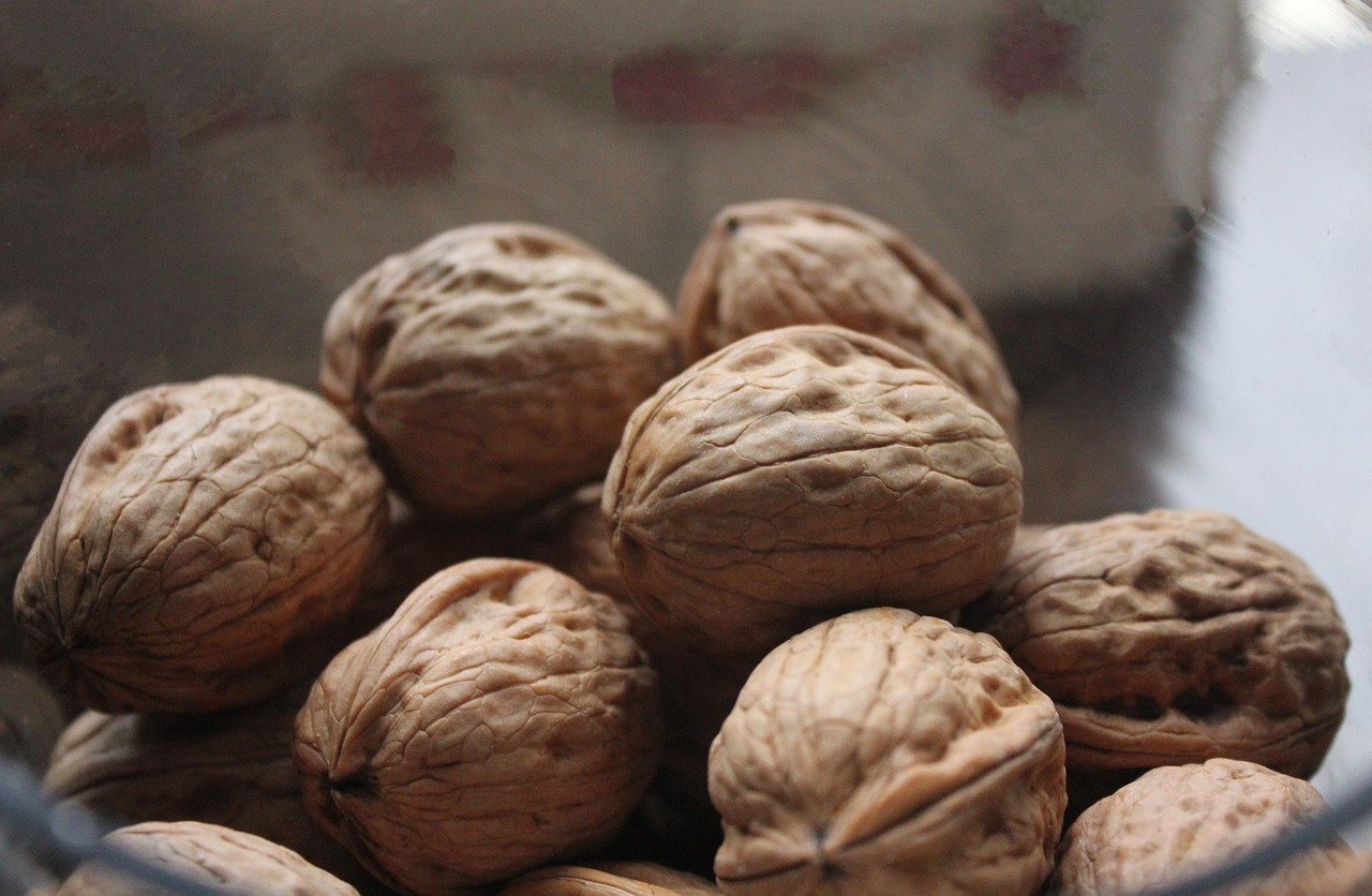 Walnüsse
