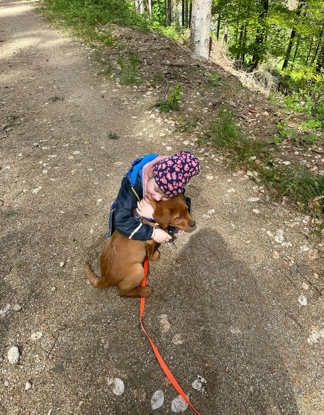 KuR Amelie mit Sammy im Wald