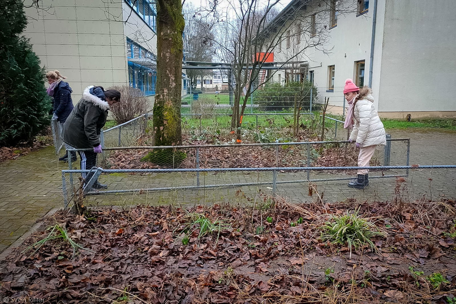 KuR Schulgarten Georgens-Schule Ludwigshafen