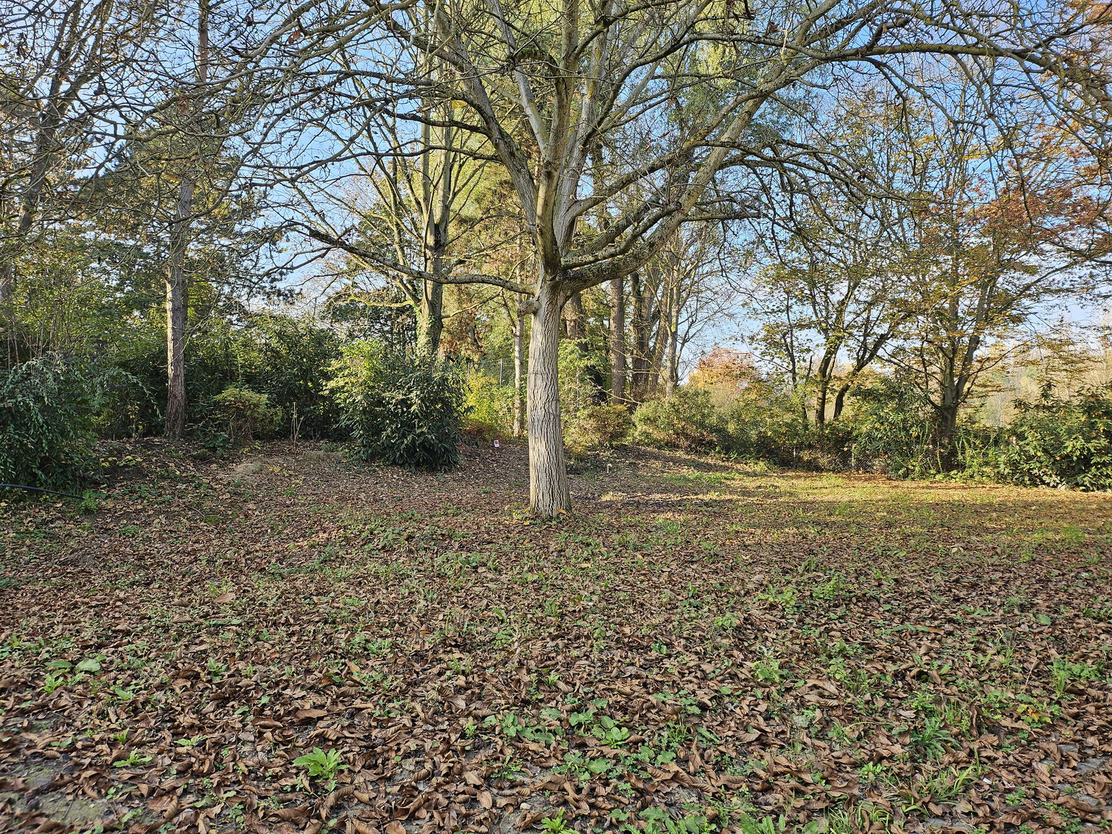 KuR Viel Spielfläche in der Georgens-Schule LU
