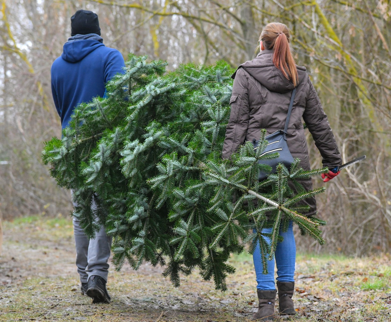 Weihnachtsbaum selbst geschlagen