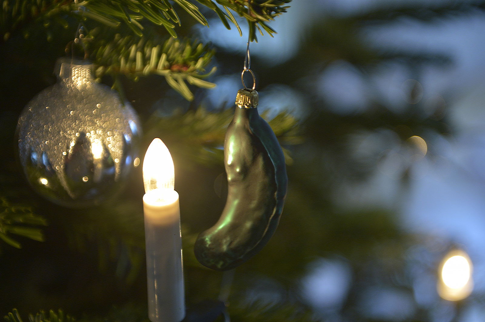 Gurken Anhänger am Weihnachtsbaum