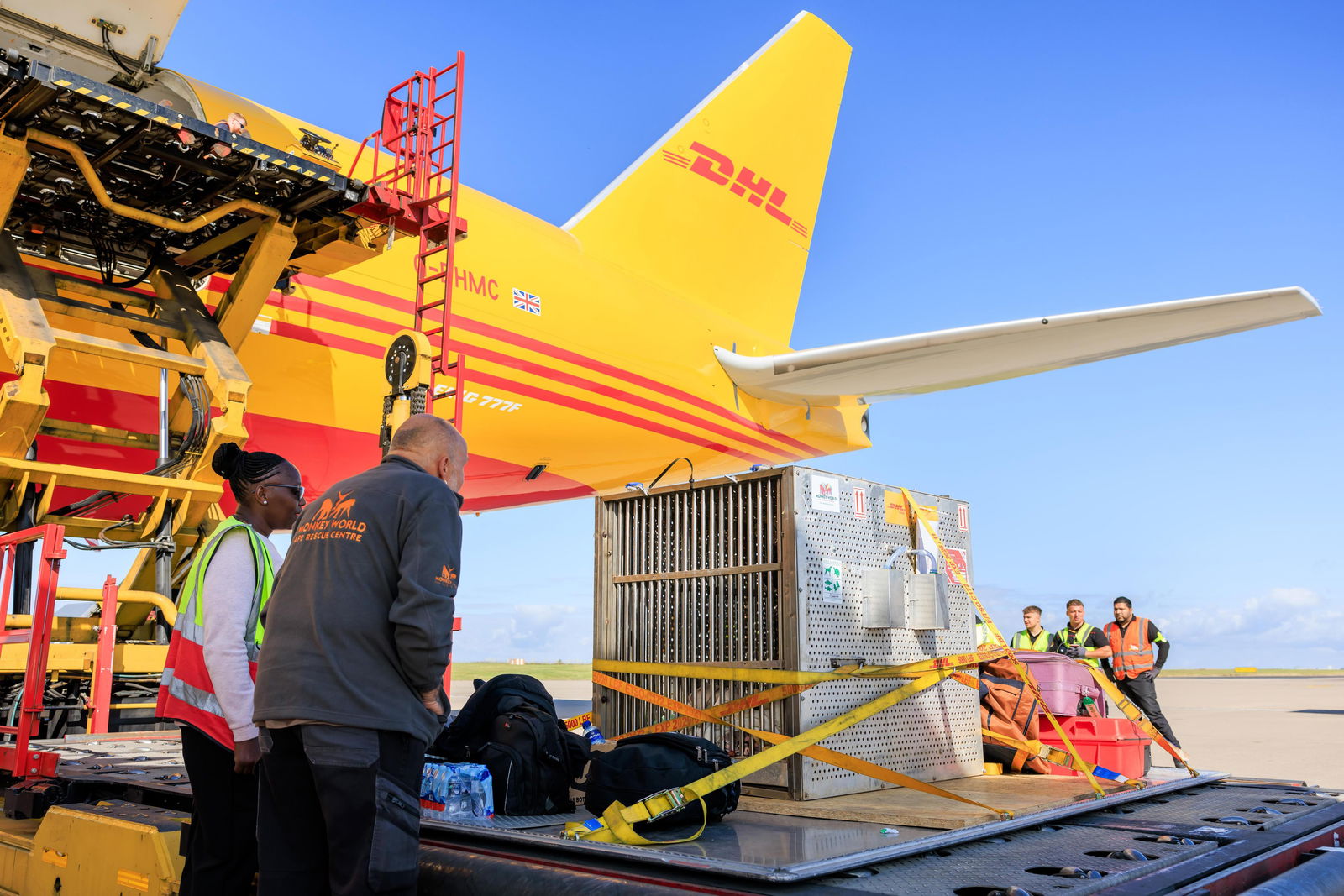 Chocolat verlässt das Flugzeug