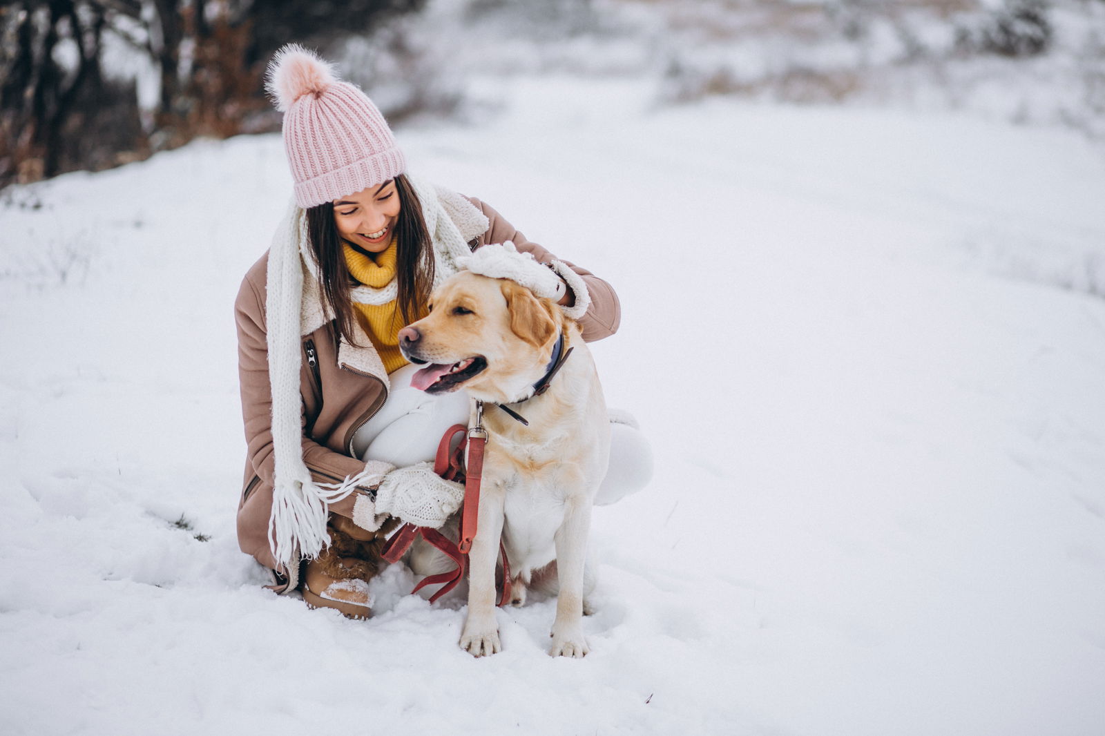 Eine Frau mit ihrem Hund im Schnee