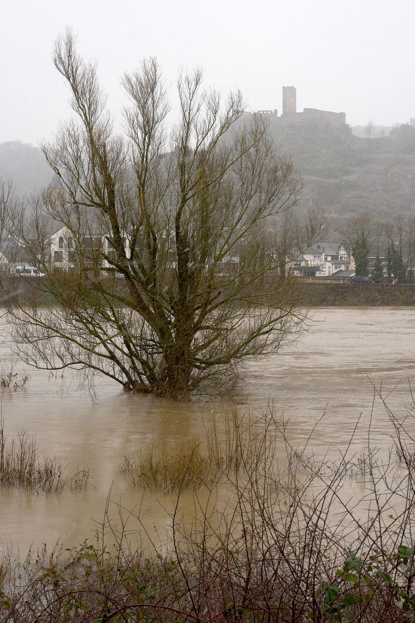 Das Moselvorgelände ist vom Moselhochwasser überflutet.