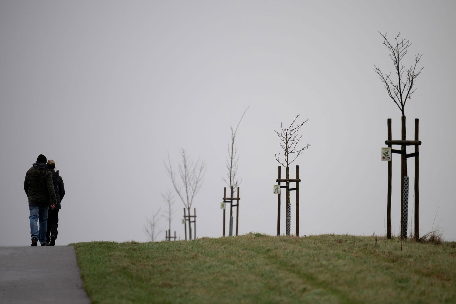 Die Woche startet mild - kühlt dann aber immer weiter ab. (Archivfoto)