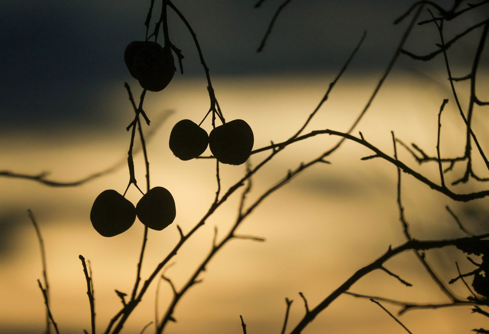 Am Dreikönigstag war es ungewöhnlich warm in Baden-Württemberg. Der Winter kehrt aber zurück.