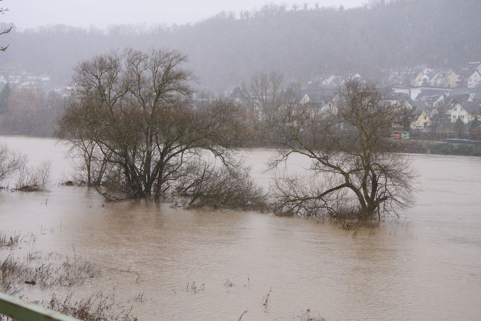 Die Mosel breitet sich aus. Hier sind die Moselvorgelände bei Dieblich überflutet.