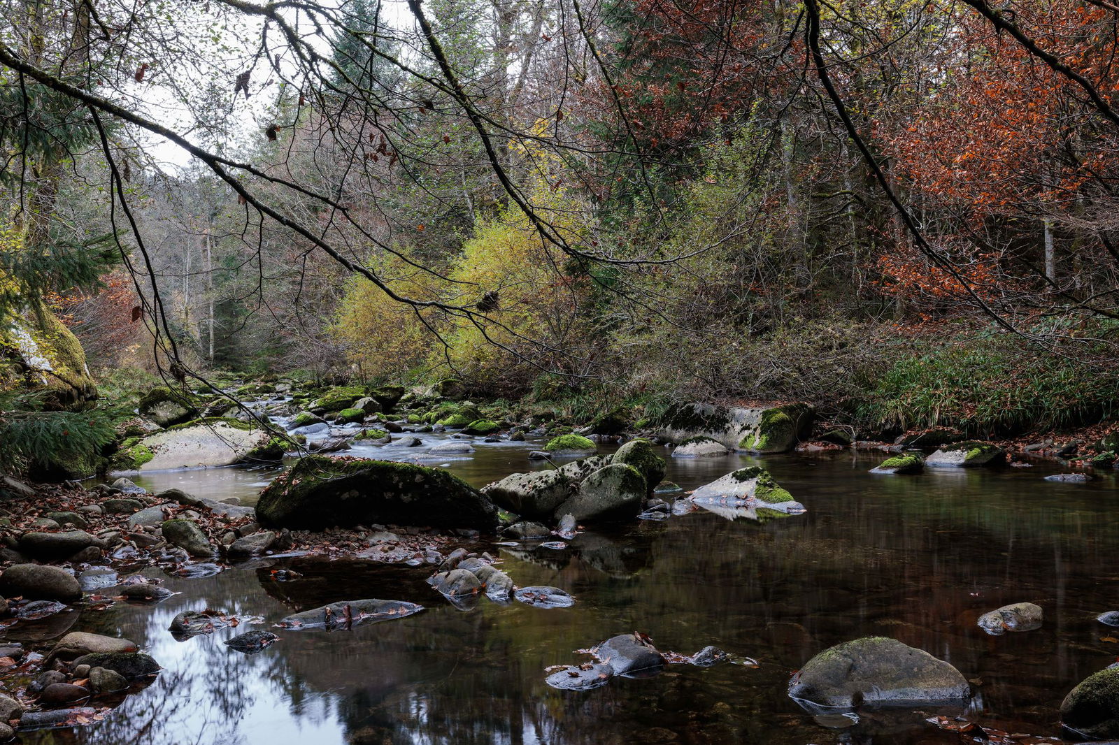 Der Nationalpark ist bisher das einzige Großschutzgebiet dieser Art im Südwesten. (Archivbild)
