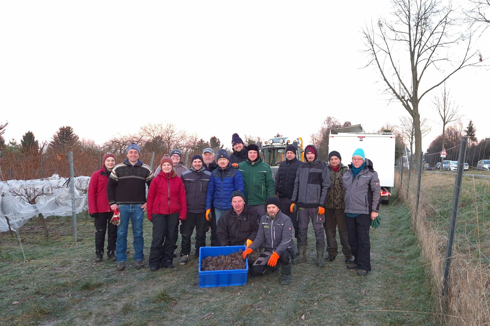 Winzern von der Hessischen Bergstraße ist die Eisweinlese geglückt. 