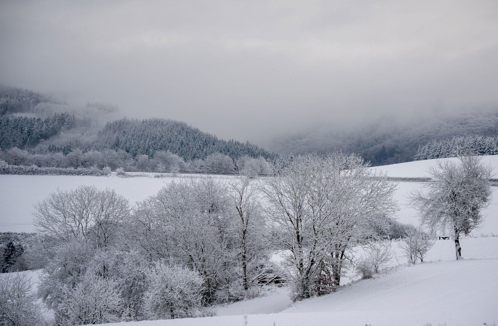 Das neue Jahr bringt Schnee nach Rheinland-Pfalz. 