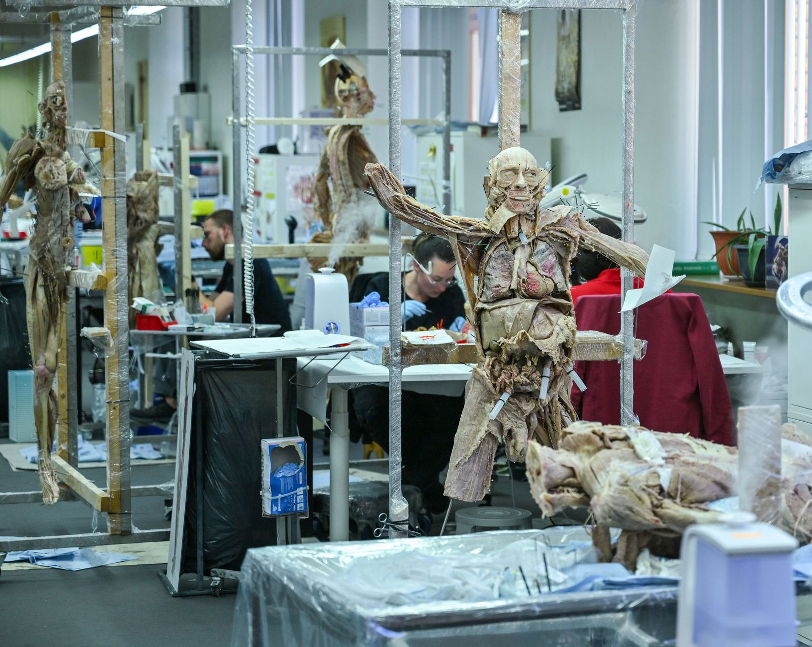 Die Ausstellung feiert im Jahr 1995 ihr Debüt und wurde seitdem in 42 Ländern gezeigt (Archivbild).