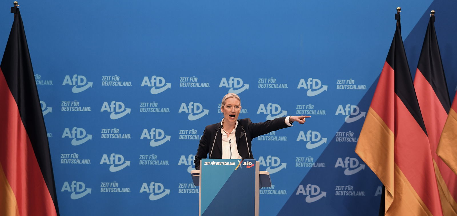 Alice Weidel