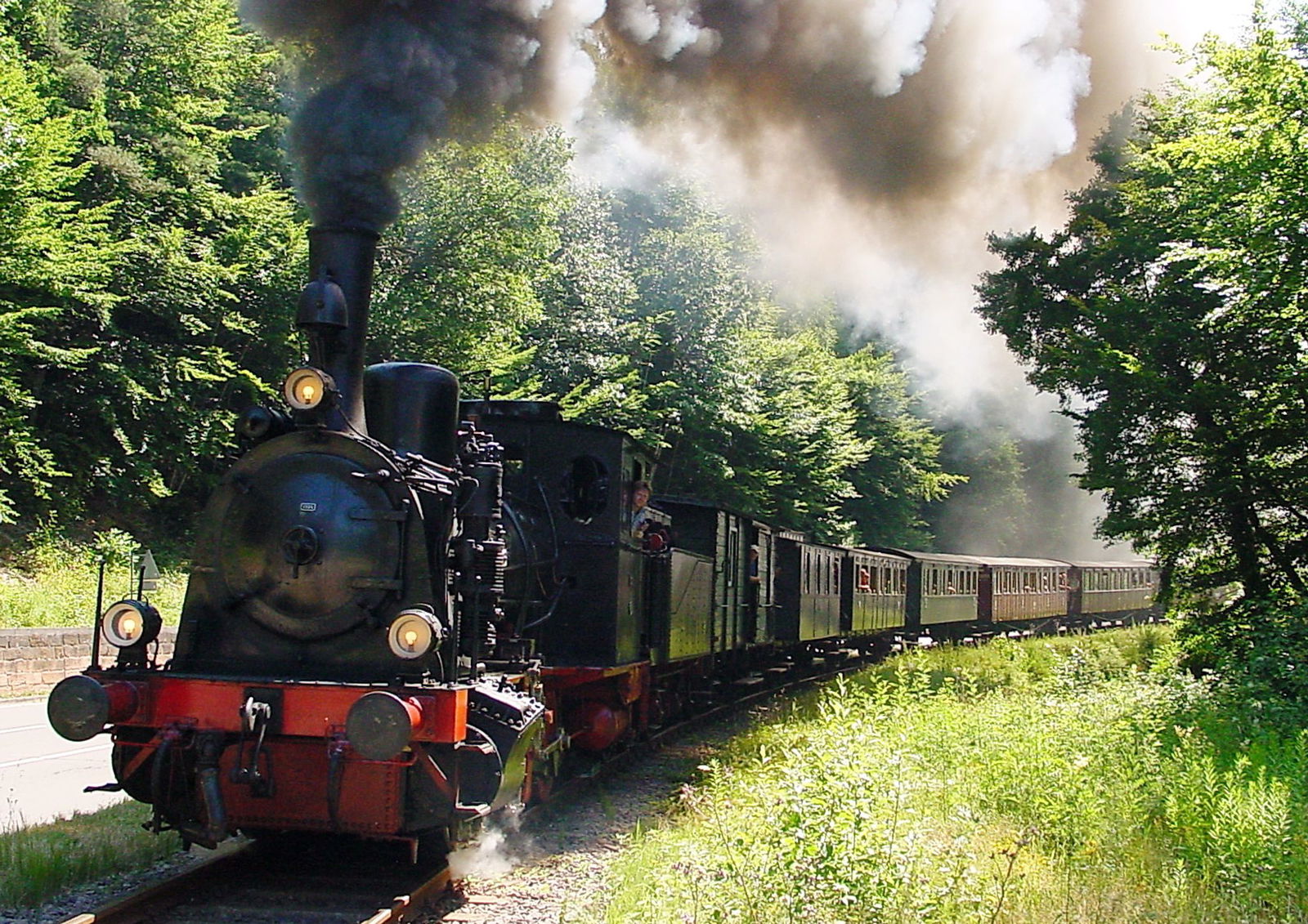 Das «Kuckucksbähnel» fährt durch den Pfälzerwald. (Archivbild)