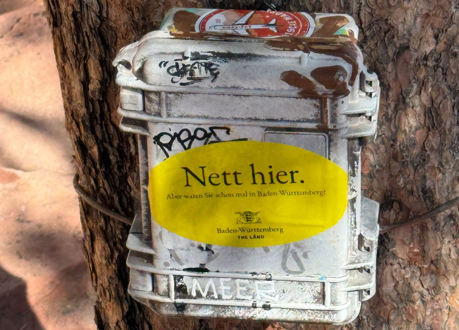 Selbst nach Übersee haben es die «Nett hier»-Sticker geschafft. Hier pappt einer im Zion National Park im US-Bundesstaat Utah.