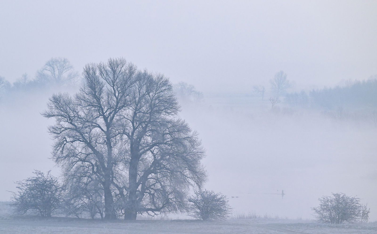 Nebel zeigt sich in den kommenden Tagen öfter. (Archivfoto)