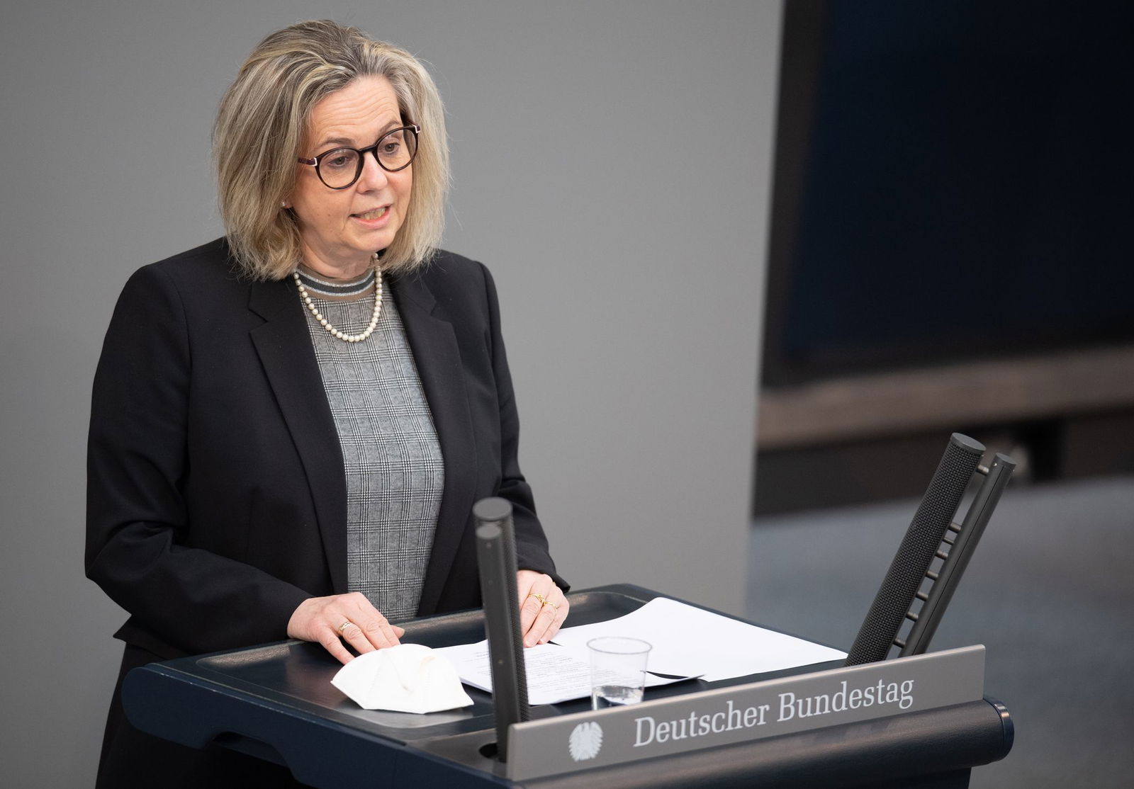 Groden-Kranich saß bereits von 2013 bis 2021 im Bundestag (Archivbild). 