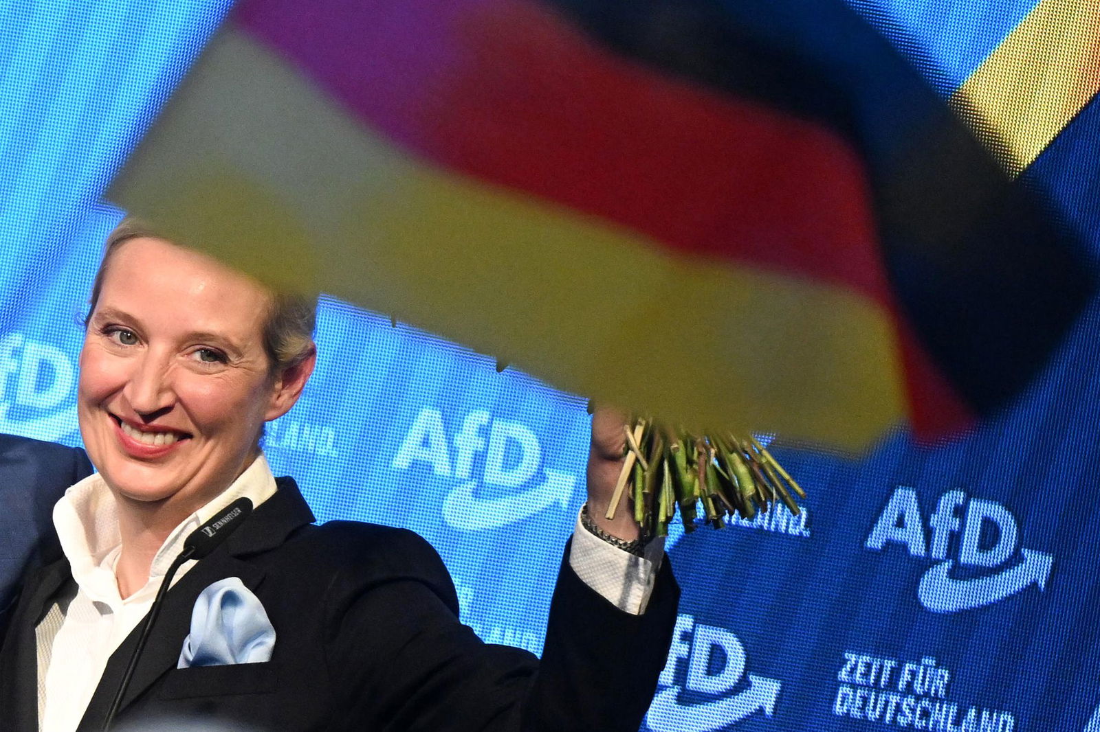 AfD gewinnt alle ostdeutschen Flächenländer. 