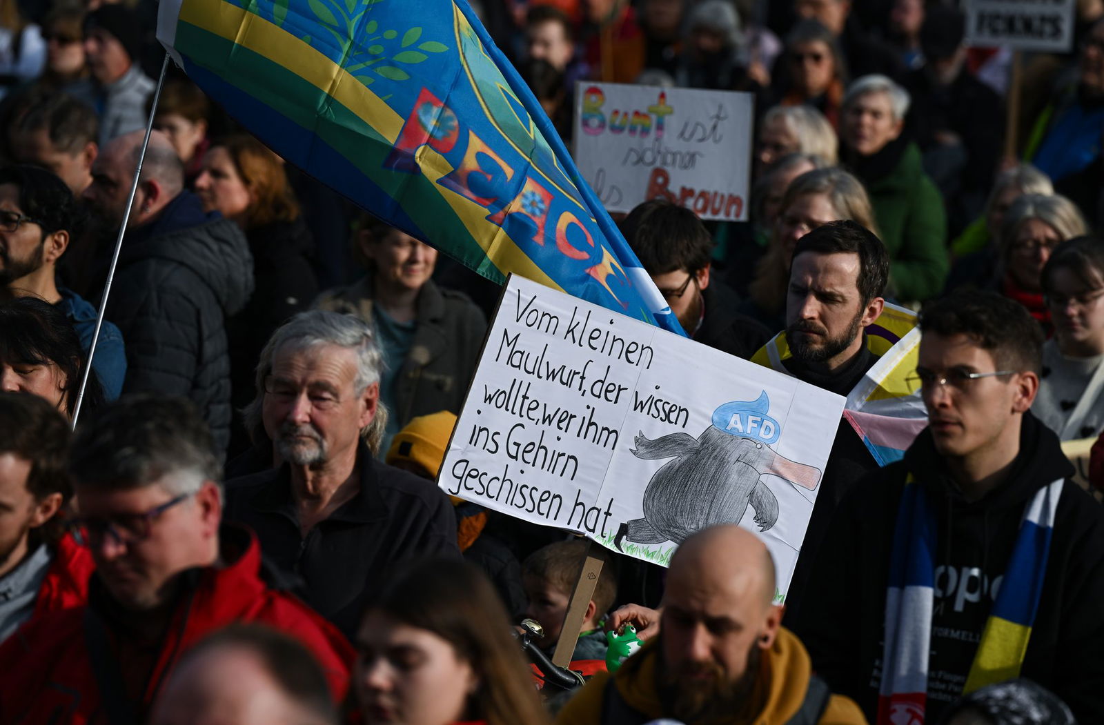 Viele Friedensfahnen und so manche Botschaft waren auf der Demo in Mainz zu sehen. 