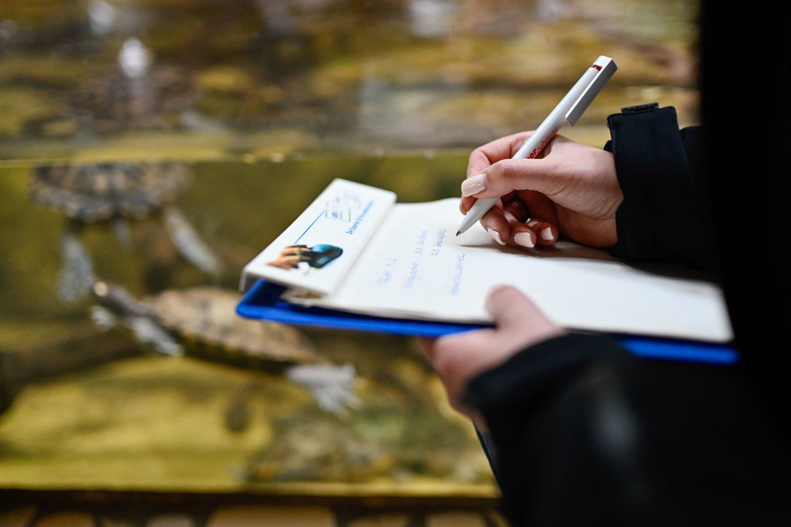 Bei den meisten Tierarten sei keine wirkliche Inventur zum Jahresende nötig, so Schubert.