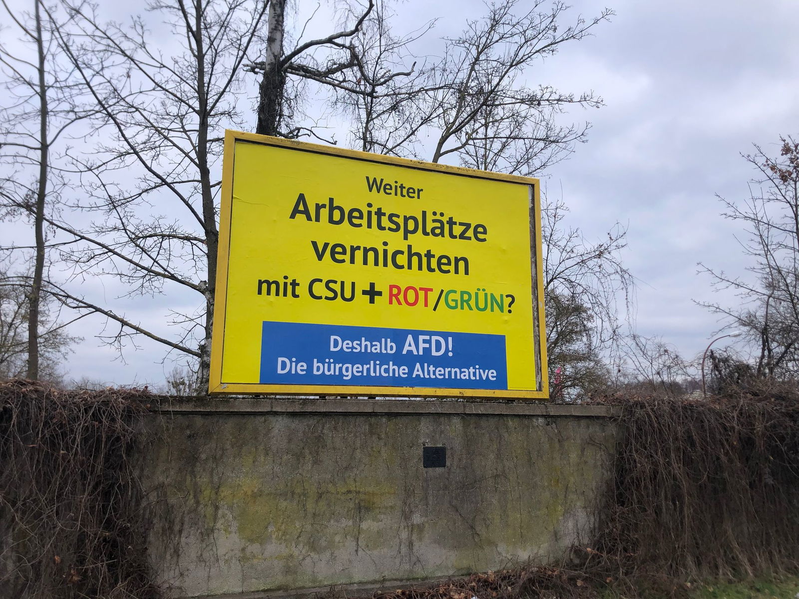 Auffällige AfD-Wahlwerbung wie hier in Bamberg ist auch in anderen Städten in Deutschland zu sehen. Es handelt sich nicht um offizielle AfD-Wahlplakate, sondern um eine Aktion des Spenders Gerd Dingler aus Österreich. (Archivbild)