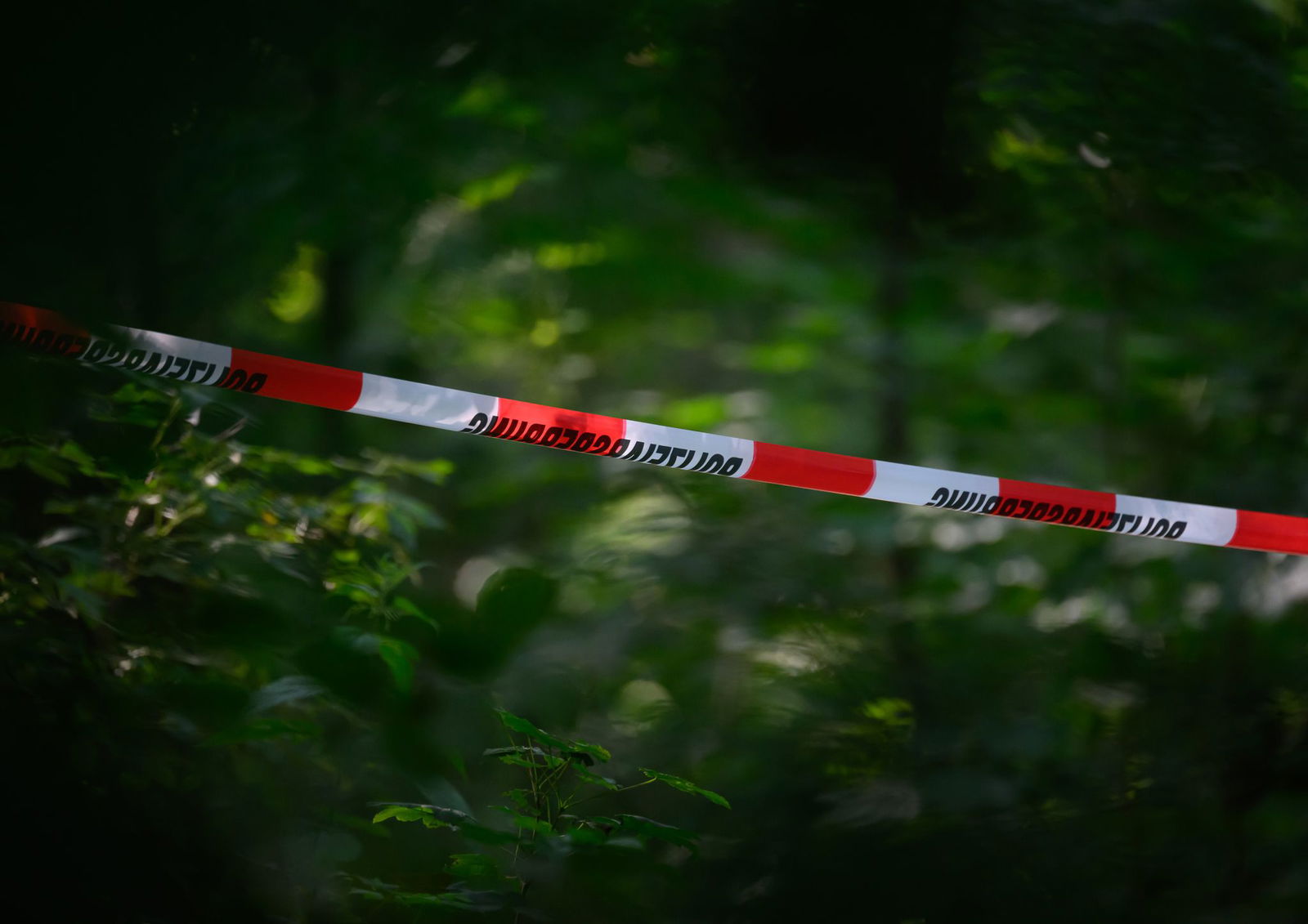 Die brennende Leiche wurde bereits am 15.02.2025 im Ober-Olmer Wald entdeckt. (Symbolbild)