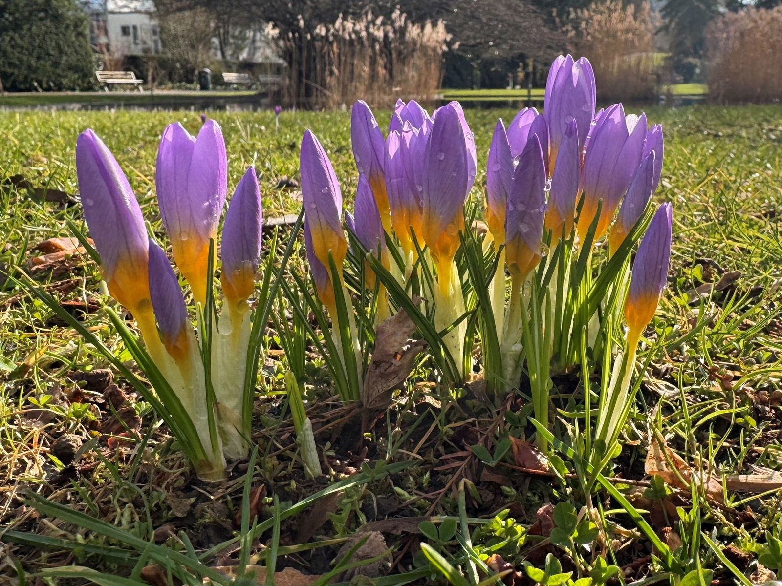 Nach tieferen Temperaturen wird es im Wochenverlauf wärmer. (Symbolbild)
