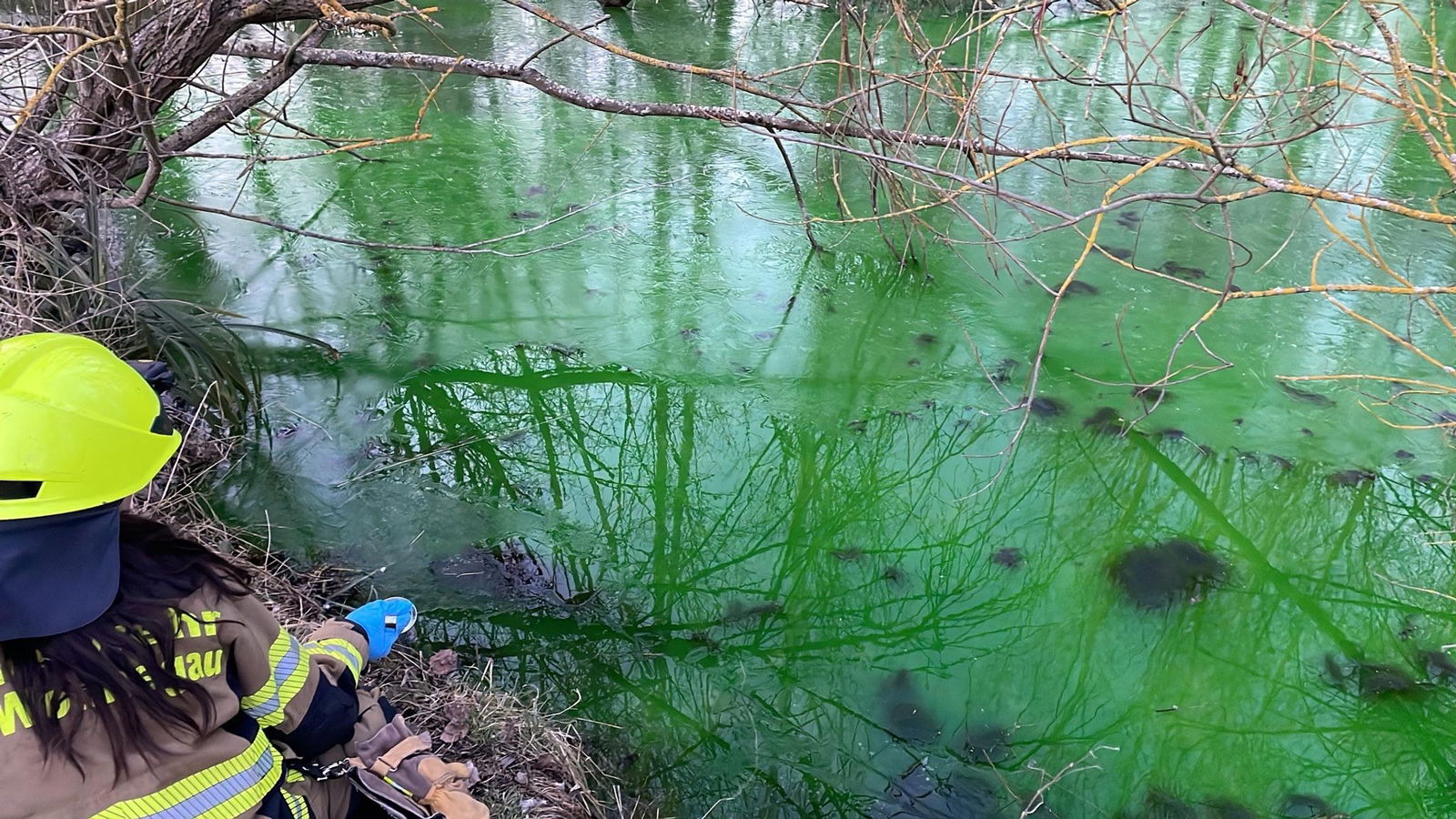 Nachdem der Mühlbach bei Wörrstadt grün verfärbt war, hat das Wasser nun wieder eine normale Farbe.
