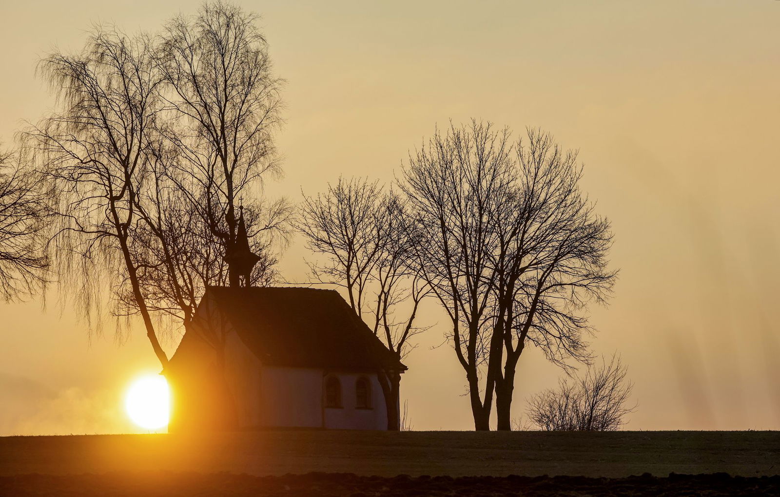 Sonne und Nebelfelder wechseln sich im Südwesten zur neuen Woche ab.