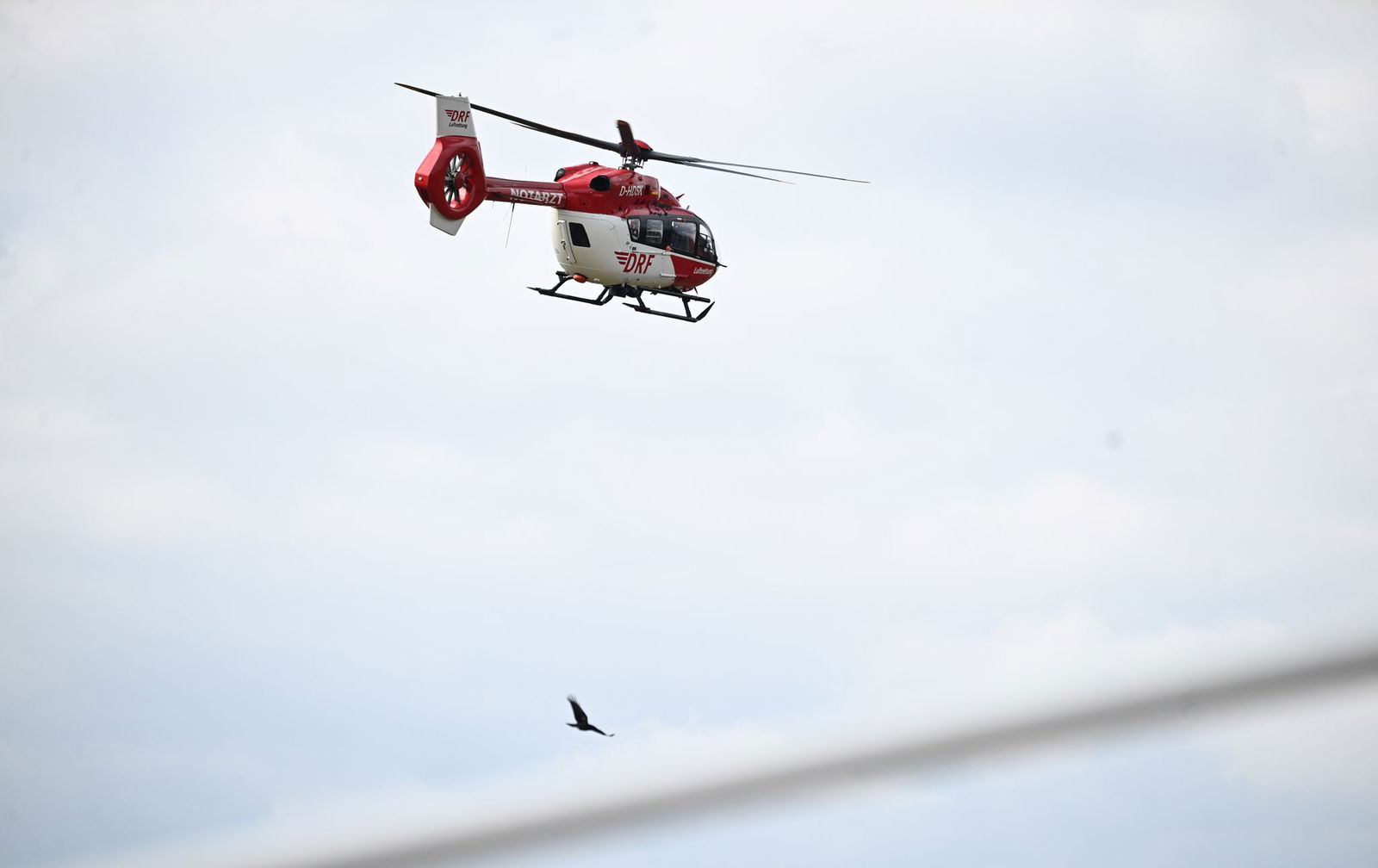 Ein Mann ist nach einem Badeunfall in Weil am Rhein gestorben. (Symbolbild)