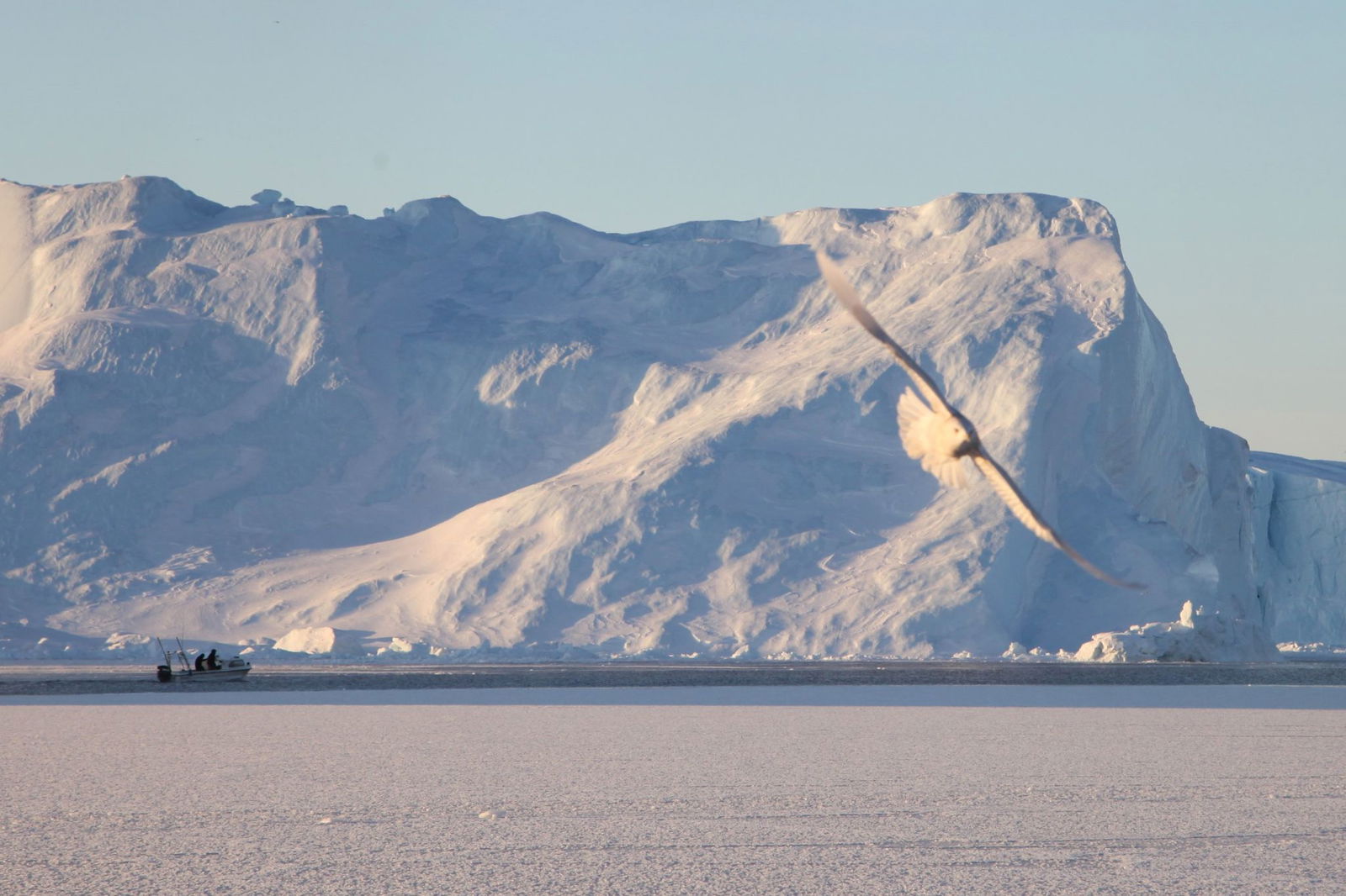 Kleines Boot vor riesigen Eisbergen.